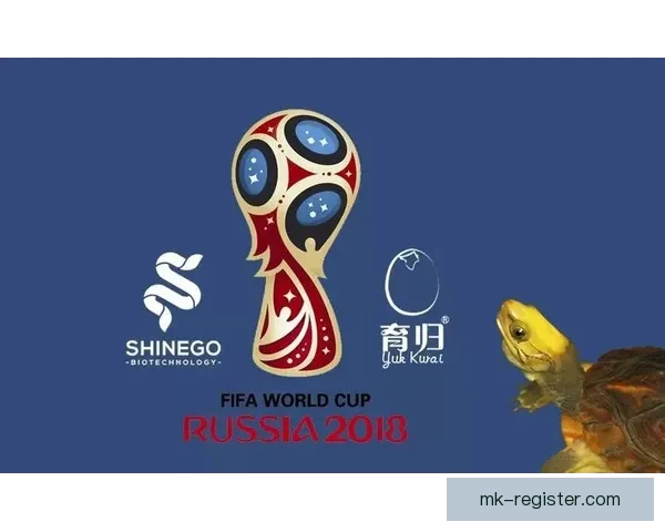 美加墨世界杯赛事竞猜投注策略与热门玩法全面解析 美加墨世界杯赛事竞猜投注策略与热门玩法全面解析